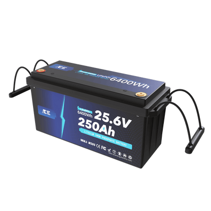 ACEnergy 24V 250Ah LiFePO4 Li-Ion Battery supply 25.6V 6400Wh